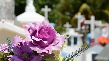 ¿Cuándo se celebra el Día de los Muertos en Venezuela y por qué se conmemora? 