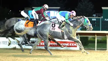 Jockey puertorriqueño arrasa con cinco Stakes en el West Virginia Breeders Classic Jockey puertorriqueño arrasa con cinco Stakes en el West Virginia Breeders Classic