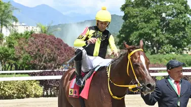 Conoce el estado de salud del jinete Jaime “Pocho” Lugo Conoce el estado de salud del jinete Jaime “Pocho” Lugo
