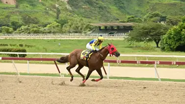 Esto fue lo que ocurrió con el ejemplar McGregor después de su rodada Esto fue lo que ocurrió con el ejemplar McGregor después de su rodada