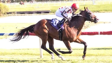Mychel Sánchez el jockey con más victorias en Estados Unidos la semana pasada