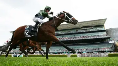 La carrera más millonaria del mundo en grama se corre este sábado en Australia La carrera más millonaria del mundo en grama se corre este sábado en Australia