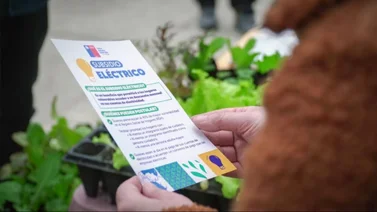Subsidio Eléctrico