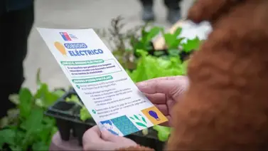 Subsidio Eléctrico Subsidio Eléctrico