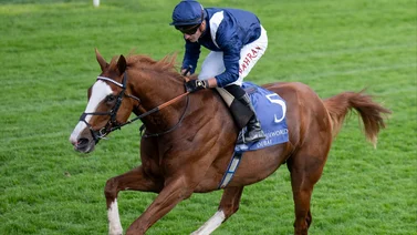 Todo listo para las dos últimas carreras clasificatorias a las Breeders´Cup
