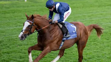 Todo listo para las dos últimas carreras clasificatorias a las Breeders´Cup Todo listo para las dos últimas carreras clasificatorias a las Breeders´Cup