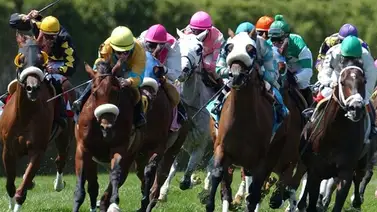 Hija de Curlin que costó $1.050.000 busca su segunda victoria en Belmont At The Big A Hija de Curlin que costó $1.050.000 busca su segunda victoria en Belmont At The Big A