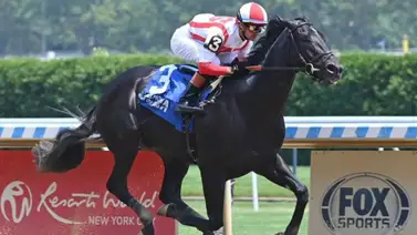 Ganador Clásico será convertido en semental después de correr la Breeders’Cup Dirf Mile Ganador Clásico será convertido en semental después de correr la Breeders’Cup Dirf Mile
