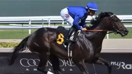 Ejemplar invicto de Godolphin buscará su primer Stakes con Junior Alvarado 