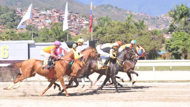 Bella Del Nilo la gran aspirante a llevarse el Clásico Edgar Ganteaume (GII) en La Rinconada