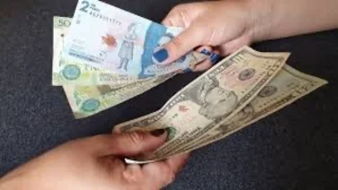 Tipo de cambio dólar a peso hoy 15 de octubre: ¿Cuánto vale el dólar en México?