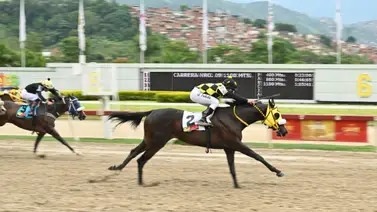 Lujuria reaparece luego de 42 días sin correr y buscará su segunda victoria consecutiva en la R40 Lujuria reaparece luego de 42 días sin correr y buscará su segunda victoria consecutiva en la R40