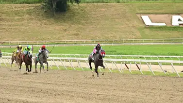 El excelente debut que tuvo Johanakarina hace pensar que luego de 56 días sin correr regresa para ganar El excelente debut que tuvo Johanakarina hace pensar que luego de 56 días sin correr regresa para ganar