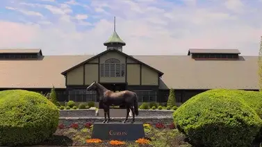 Curlin tendrá nuevos compañeros como sementales en Hill ‘n’Dale en el 2025 Curlin tendrá nuevos compañeros como sementales en Hill ‘n’Dale en el 2025