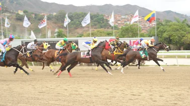 Potro Sucro que en su debut era de los principales favoritos regresa al óvalo de La Rinconada tras 56 días sin correr