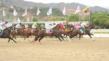 Potro Sucro que en su debut era de los principales favoritos regresa al óvalo de La Rinconada tras 56 días sin correr Potro Sucro que en su debut era de los principales favoritos regresa al óvalo de La Rinconada tras 56 días sin correr