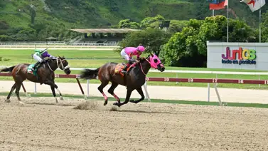 Yegua que surge como la gran favorita en el 5y6 reaparece después de 70 días sin correr en La Rinconada Yegua que surge como la gran favorita en el 5y6 reaparece después de 70 días sin correr en La Rinconada
