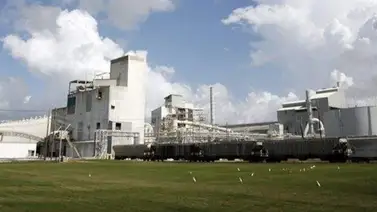 Huracanes retrasan apertura de la recta trasera de Tampa Bay Downs Huracanes retrasan apertura de la recta trasera de Tampa Bay Downs