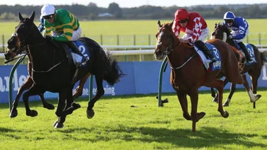  Descalificado ganador del Club Godolphin Cesarewith Handicap G2 en Gran Bretaña