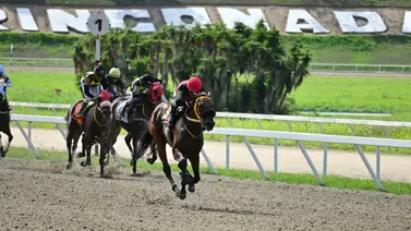 Esta hija de Pedro Caimán regresa a la pista en busca de su primera victoria luego de 140 días sin correr Esta hija de Pedro Caimán regresa a la pista en busca de su primera victoria luego de 140 días sin correr