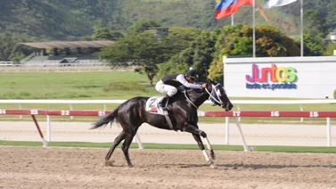 La mejor arma de Yaqui Desings es la velocidad y reaparece en carrera pareja después de 42 días sin correr