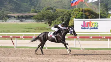 La mejor arma de Yaqui Desings es la velocidad y reaparece en carrera pareja después de 42 días sin correr La mejor arma de Yaqui Desings es la velocidad y reaparece en carrera pareja después de 42 días sin correr