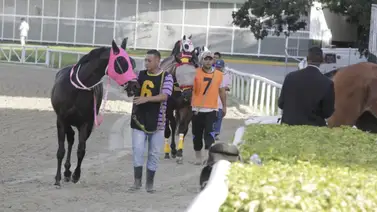 Retirada una de las fijas de las no válidas de la reunión dominical en La Rinconada Retirada una de las fijas de las no válidas de la reunión dominical en La Rinconada