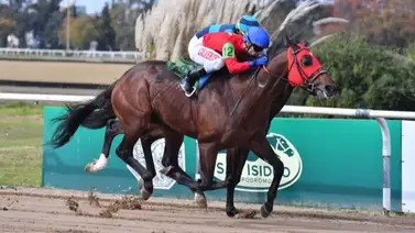 Jockey argentino montará a Tuco Salamanca en el Clásico Internacional Simón Bolívar Jockey argentino montará a Tuco Salamanca en el Clásico Internacional Simón Bolívar