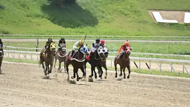 Caballo que en sus dos últimas fue favorito y corrió con tropiezos retorna al óvalo de la Rinconada luego de 49 días Caballo que en sus dos últimas fue favorito y corrió con tropiezos retorna al óvalo de la Rinconada luego de 49 días
