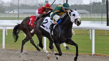 Leonel Reyes Ramos va por la sorpresa en 2 stakes de $200.000 en Gulfstream Park