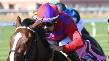 Junior Alvarado cerca de superar sus números del 2023 en Estados Unidos Junior Alvarado cerca de superar sus números del 2023 en Estados Unidos