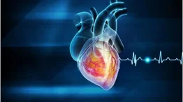 Corazón y cerebro: ¿Cómo se afectan mutuamente?