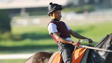 Kelvin Perfecto confía en la atropellada de este ejemplar en el 5y6 de este domingo en La Rinconada (+Video) Kelvin Perfecto confía en la atropellada de este ejemplar en el 5y6 de este domingo en La Rinconada (+Video)