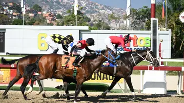 Conoce los cambios de montas que se producen en la reunión 40 de este domingo en La Rinconada Conoce los cambios de montas que se producen en la reunión 40 de este domingo en La Rinconada