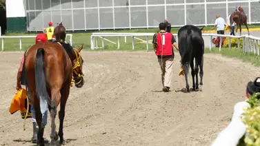 Conoce el primer retirado del 5y6 de la reunión 40 en La Rinconada Conoce el primer retirado del 5y6 de la reunión 40 en La Rinconada