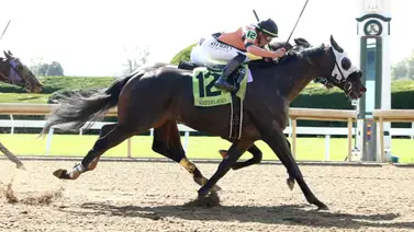 De nuevo en dupla Irad Ortiz Jr. y Gustavo Delgado por stakes de grado en Keeneland De nuevo en dupla Irad Ortiz Jr. y Gustavo Delgado por stakes de grado en Keeneland