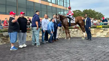 Estos son los caballos de José Francisco D’Angelo que van a correr en Gulfstream Park Estos son los caballos de José Francisco D’Angelo que van a correr en Gulfstream Park