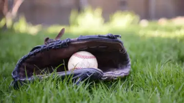 MLB 2024: la actuación de los venezolanos en la Gran carpa MLB 2024: la actuación de los venezolanos en la Gran carpa