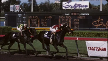 Breeders’Cup: Conoce al primer ejemplar sudamericano que ganó en la Breeders’ Cup 