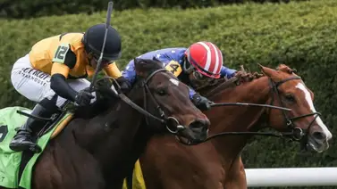 Comisarios de Keeneland suspenden a Luan Machado por este motivo Comisarios de Keeneland suspenden a Luan Machado por este motivo