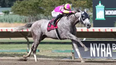 Irad Ortiz Jr. montará hijo de Tapit en la Breeders’ Cup Classic 2024 Irad Ortiz Jr. montará hijo de Tapit en la Breeders’ Cup Classic 2024