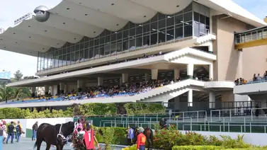 Favoritos de la cátedra para el 5y6 Nacional de la reunión N°40 en el hipódromo La Rinconada Favoritos de la cátedra para el 5y6 Nacional de la reunión N°40 en el hipódromo La Rinconada