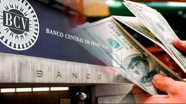Dólar BCV para este fin de semana y próximo lunes 21 de octubre según Banco Central de Venezuela