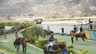 Datos de Última Hora para el Hipódromo Internacional La Rinconada 20-10-2024 Datos de Última Hora para el Hipódromo Internacional La Rinconada 20-10-2024