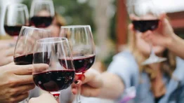 Festival de Comida y Vino 2024: ¡Una Celebración Culinaria Imperdible!