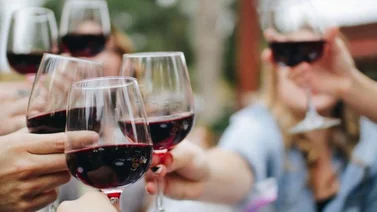 Festival de Comida y Vino 2024: ¡Una Celebración Culinaria Imperdible!