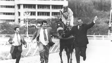 Falleció entrenador venezolano ganador de múltiples carreras de grado Falleció entrenador venezolano ganador de múltiples carreras de grado