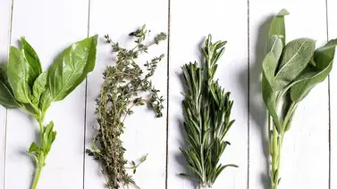 Cuida tu salud con el cultiva de un jardín de plantas medicinales Cuida tu salud con el cultiva de un jardín de plantas medicinales