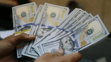 Precio del dólar hoy en México: ¿A cuánto cerró este sábado 19 de octubre?