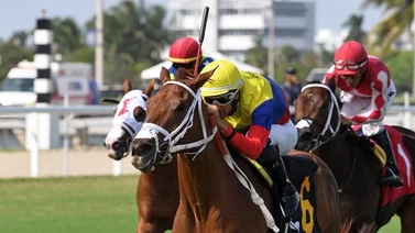 Leonel Reyes con doblete en jornada sabatina de Gulfstream Park